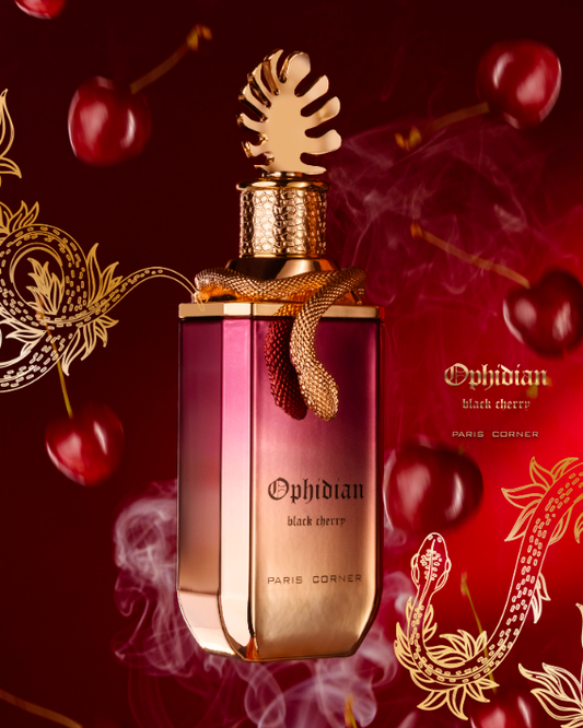 Paris Corner Ophidian Black Cherry